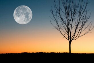 super luna rece din 4 decembrie 2025 ce se va intampla din punct de vedere astral pentru fiecare zodie in parte 693029aff245f