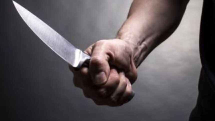 tentativa de omor in prahova un barbat si a injunghiat amicul la taierea porcului 69424340ebbe7