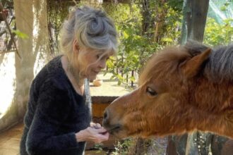 ultima dorinta a lui brigitte bardot va fi inmormantata la saint tropez alaturi de animalele pe care le a iubit 695278c4b55f9