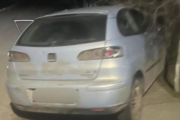 urmarire ca in filme in dolj un sofer fara permis a fugit de politie si s a ascuns intr un adapost pentru animale 69523f67b09b2