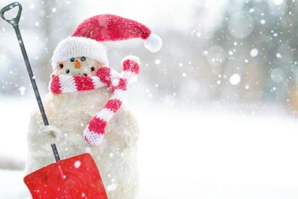 va ninge in ajunul craciunului si in ziua de craciun vremea se schimba din data de 26 decembrie 694935fe39027