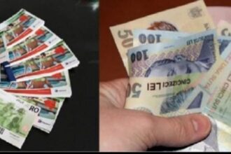 valoarea tichetelor de masa a crescut la 45 de lei majorarea se aplica si pentru drepturile aferente lunii noiembrie 6931947fac370