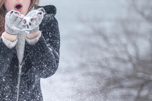 vantul puternic a facut ravagii in brasov acoperisuri luate pe sus copaci smulsi din radacini 69514ba6ec9a2