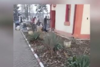 viceprimar aur mutat in cimitir la ordinul primarului pnl 694547cec8418