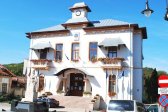 viceprimarul aur madalina vale despre consiliul local slatina domnul primar are majoritate si fara noi 69396884c7aab