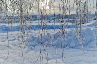 vremea o ia razna in plina iarna ce urmeaza sa ne creeze probleme in zilele urmatoare 693ddb2867d83