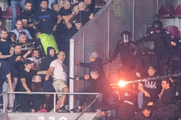 zeci de sanctiuni dupa meciul fcsb dinamo mai multi suporteri s au ales cu interdictii de acces la meciuri 69353c112e2c6