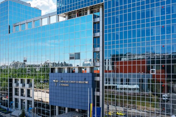 acordul ue mercosur reprezinta o oportunitate strategica pentru economia romaneasca 69675231dd4f1