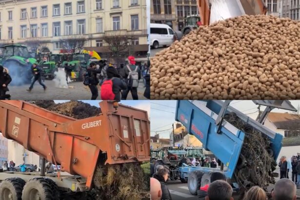 agricultorii romani protesteaza maine la strasbourg impotriva acordului ue mercosur 696df96ca9d7d