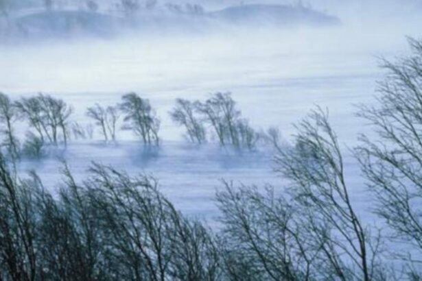 alerta anm cod rosu de vant in judetul cluj rafale de 120 km h 6956d0e5e3468