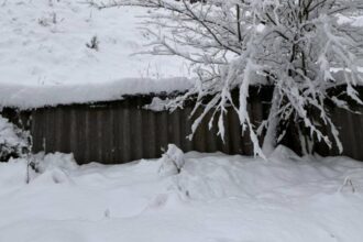 alerta meteo cod galben ninsoare si viscol in munti strat de zapada de pana la 15 cm in transilvania si maramures harta cu zonele vizate 6958d91441a6f