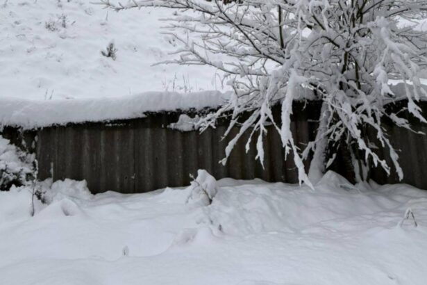 alerta meteo cod galben ninsoare si viscol in munti strat de zapada de pana la 15 cm in transilvania si maramures harta cu zonele vizate 6958d91441a6f