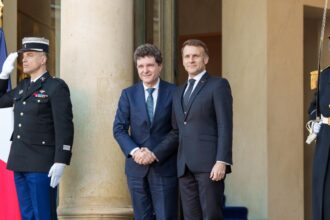 anca alexandrescu romania nu conteaza nicusor si a facut conferinta singur la ambasada romaniei iderii ue separat la palatul elysee 695d68656ac28 1