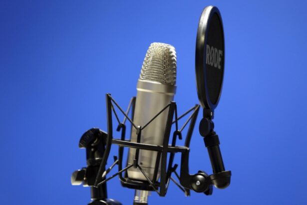 artistii protesteaza fata de ordonanta lui bolojan scrisoarea deschisa trimisa premierului 6957bb4152f71