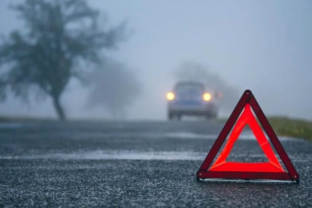 avertizare nowcasting de ceata densa pana la ora 13 00 pentru mai multe localitati din olt 69676658331f6