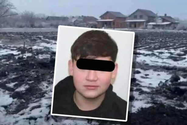 baiat de 15 ani gasit ingropat intr o gradina patru tineri dintre care doi minori suspectati ca l au ucis 69708e7af2719