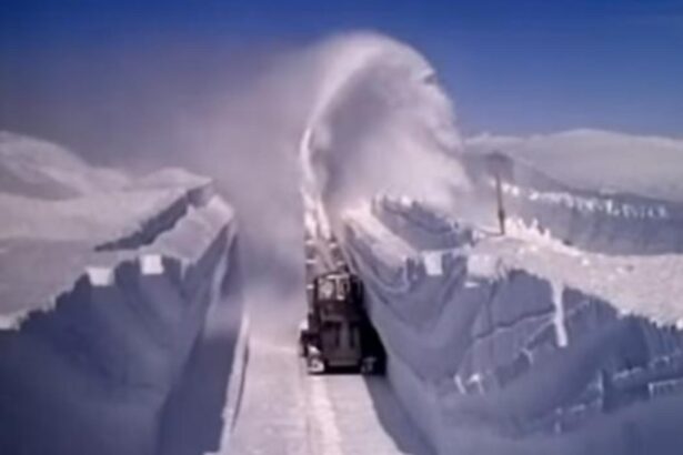 casa alba vorbeste deschis despre optiunea militara in groenlanda tensiuni imense in interiorul nato 695e0d9e3c73e