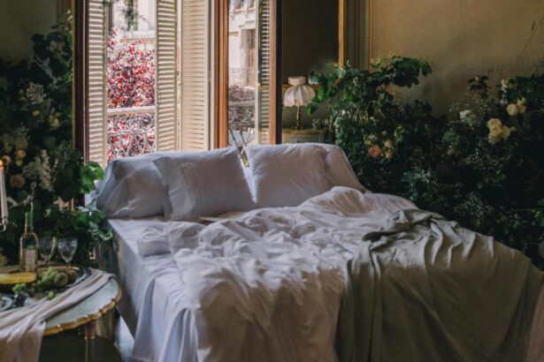 ce plante sa ai in dormitor purifica aerul si aduc armonie si iubire conform principiilor feng shui 697b30db89d9d