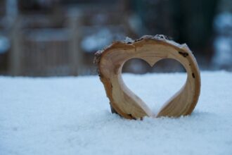 cod galben de ninsori si viscol in judetul olt 69621bd513be0