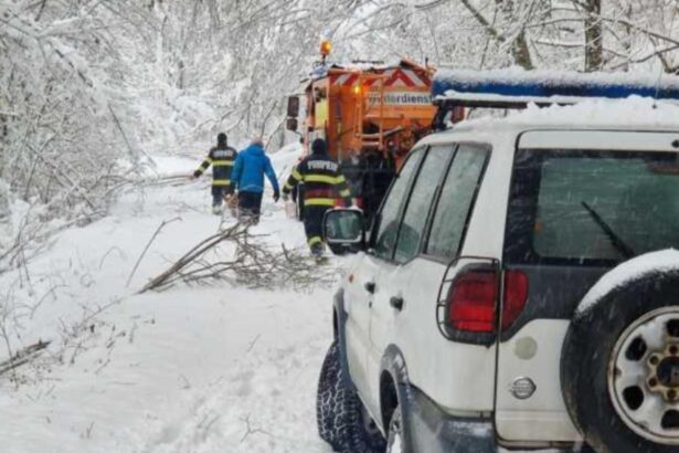 cum supravietuieste singurul om dintr un sat din apuseni dupa ce iarna a taiat orice legatura cu civilizatia 69615bb5df9f0