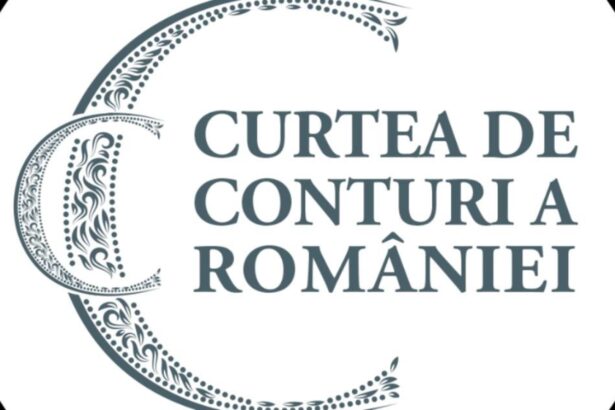 curtea de conturi veriga pasiva din lantul anticoruptiei cand controlul se opreste la hartie 69720a7253e2e