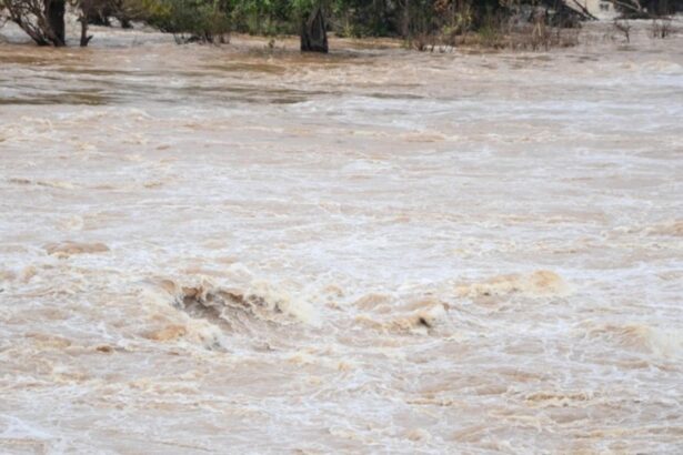 doua persoane au cazut in raul olt una dintre ele a fost salvata in timp ce a doua este cautata in continuare de mai multe echipaje de salvare 695773c08f932 1