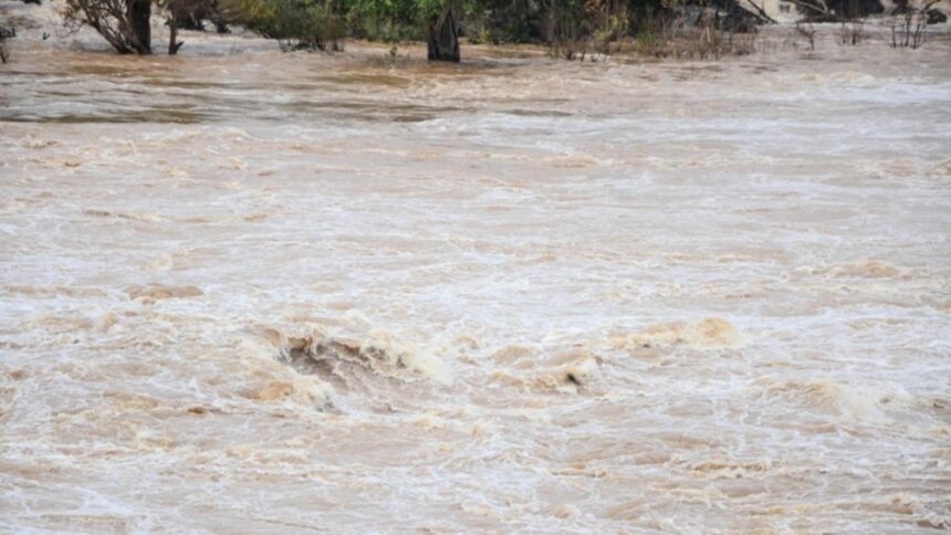 doua persoane au cazut in raul olt una dintre ele a fost salvata in timp ce a doua este cautata in continuare de mai multe echipaje de salvare 695773c08f932 1