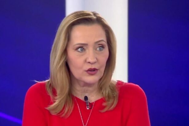 elena lasconi a demisionat de la sefia usr campulung motivul pentru care renuntat la conducerea filialei 697a27ee18655