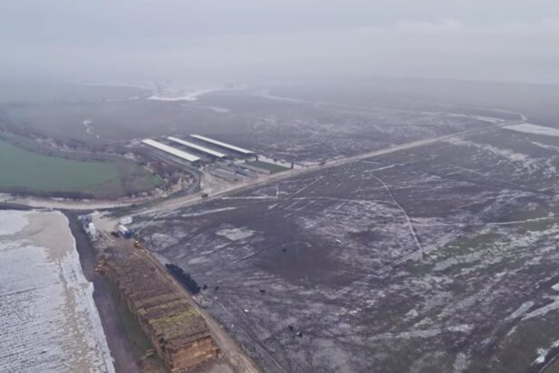 ferma de milioane de euro a lui gigi netoiu din judetul dolj inundata complet video 6963e3a738c04