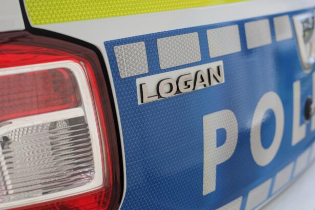 fragmente osoase descoperite in curtea unei gradinite din galati politia a deschis dosar penal 6978b6ca8bafd