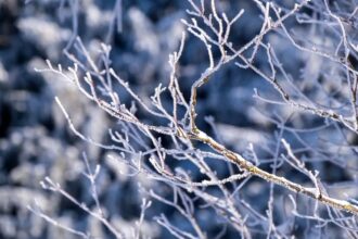 ger in toata tara pana la mijlocul saptamanii viitoare 697b482e28562