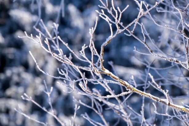 ger in toata tara pana la mijlocul saptamanii viitoare 697b482e28562