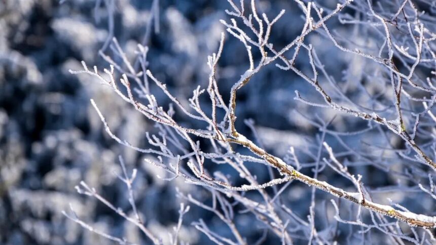 ger in toata tara pana la mijlocul saptamanii viitoare 697b482e28562