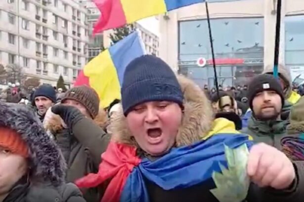 gest incredibil un protestatar a aruncat cu 3 lei spre nicusor dan 69751e274d0e0