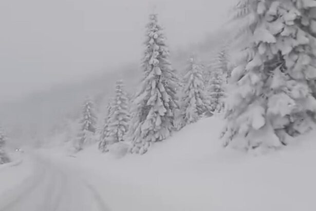 iarna loveste din nou drumuri blocate ninsori abundente si risc crescut de avalansa 6958b4be03be6