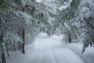 iarna se intensifica cea mai mare parte a tarii sub cod galben si cod portocaliu de ninsori harta 695a2d0ba9c00