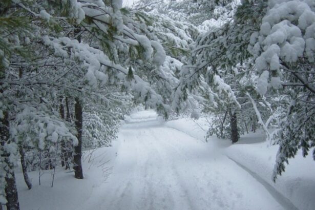 iarna se intensifica cea mai mare parte a tarii sub cod galben si cod portocaliu de ninsori harta 695a2d0ba9c00