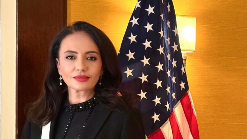 incep audieri in comisiile parlamentare pe tema anularii alegerilor prezidentiale din 2024 la initiativa aur 69736342914a0