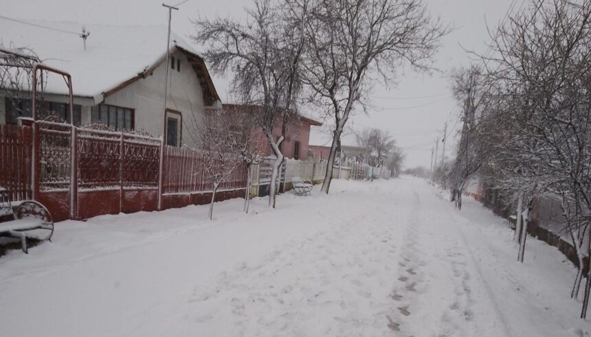 judetul olt sub cod portocaliu de ninsori polei si vant 695f6af757e47