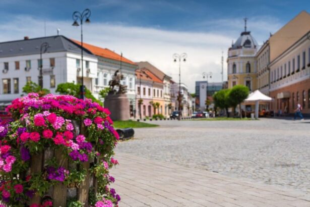 judetul unde taxele si impozitele locale nu au crescut acestea sunt pastrate la valoarea minima permisa de lege 695e69037ea74