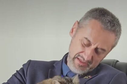 mario de mezzo spune ca primaria slatina se descurca si fara banii contribuabililor care vor sa boicoteze avertismentul pentru rau platnici 69614ce4aa1d3