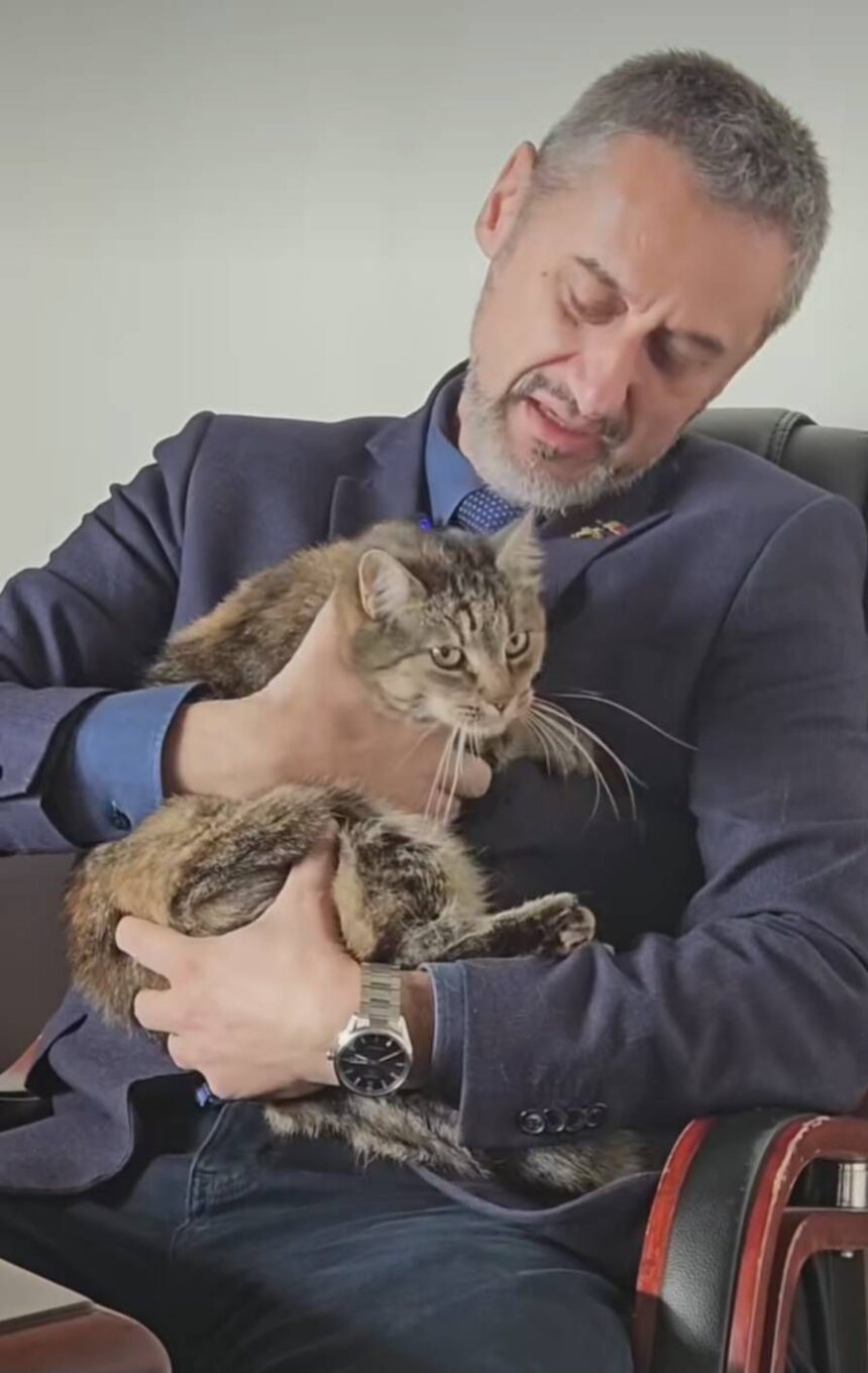 mario de mezzo spune ca primaria slatina se descurca si fara banii contribuabililor care vor sa boicoteze avertismentul pentru rau platnici 69614ce4aa1d3