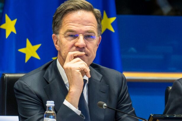 mark rutte mesaj dur in parlamentul european europa nu se poate apara fara statele unite 6977af19e3368