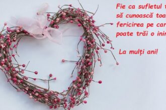 mesaje si urari de sfantul ioan 2026 cele mai frumoase felicitari pentru cei ce isi sarbatoresc onomastica 695e0317986ae