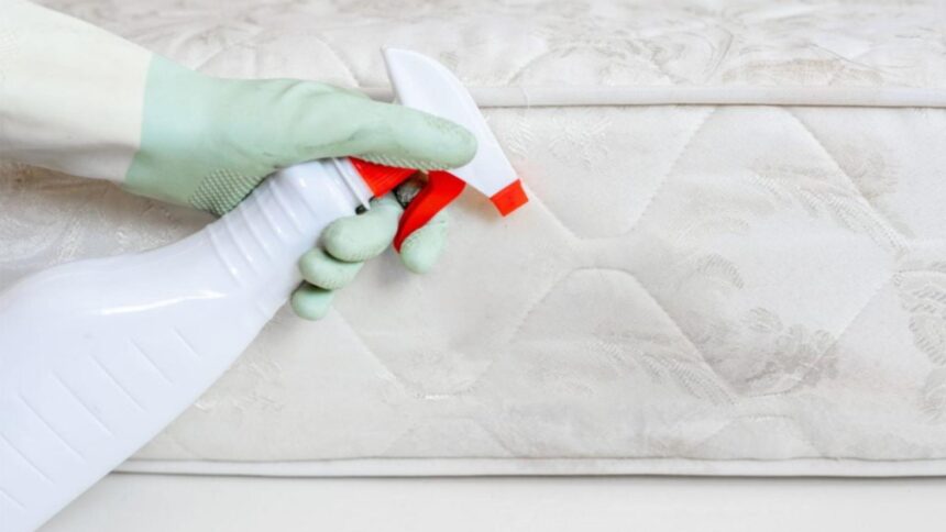 metoda simpla si eficienta care va face salteaua de pat sa arate ca noua ai nevoie de doar doua ingrediente 696fe52f87bb3