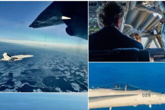 nicusor dan mutenie totala dupa gafa care a pus romania intr o lumina proasta 696265c948db1