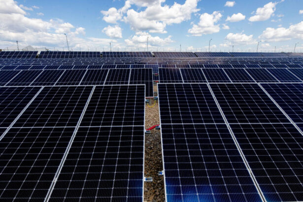 pitestiul isi face centrala electrica fotovoltaica valoarea proiectului este de peste 27 de milioane de lei 697a3130da5aa