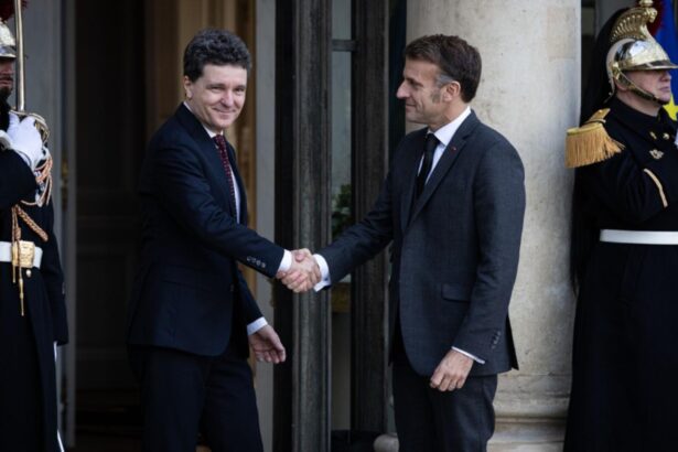 presedintele nicusor dan pleaca la paris ce probleme lasa in tara 695a45d6af49a