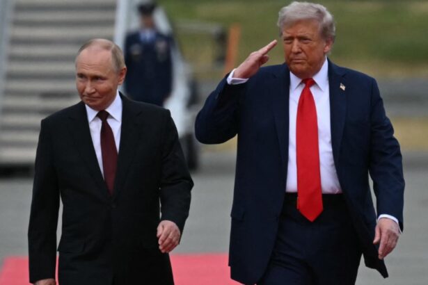 razboi in ucraina ziua 1438 trump negociaza cu emisarul lui putin intalnire in florida inaintea discutiilor de pace de la abu dhabi confirma casa alba live text 697d9b9a8abc8