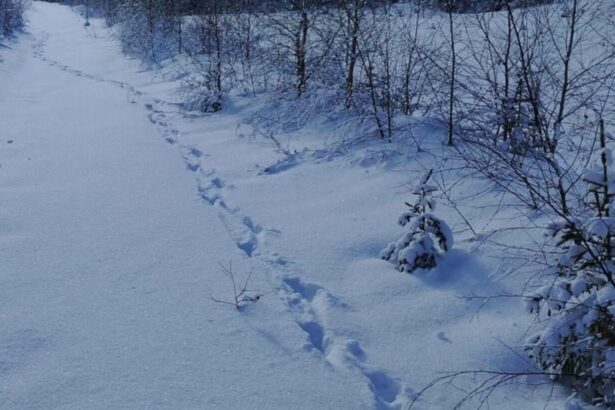 salvamont suceava anunta care sunt traseele montane pe care turistii trebuie sa le evite lista locurilor unde oamenii sunt in mare pericol 696743c734e12